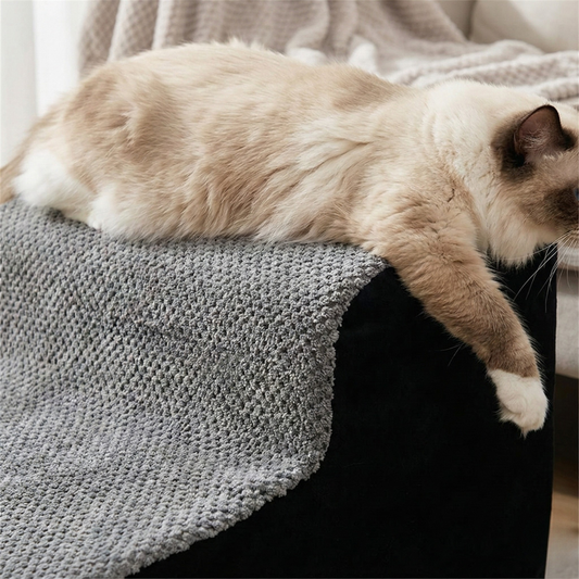 Rampe d’Escalier pour Chats - 2 marches