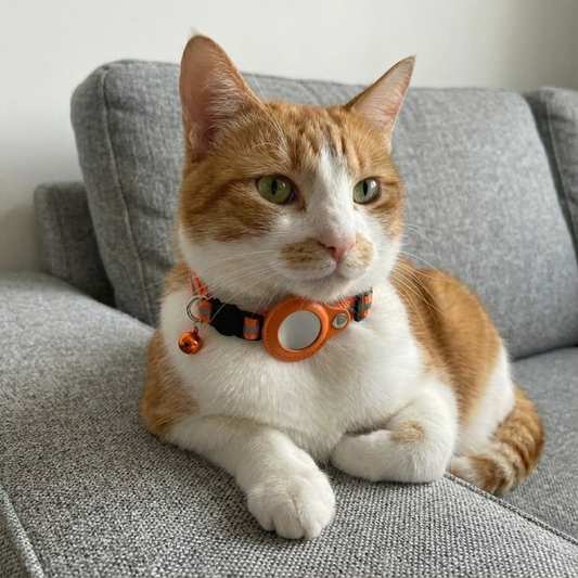 Collier Compatible Traceur GPS – Collier Réfléchissant