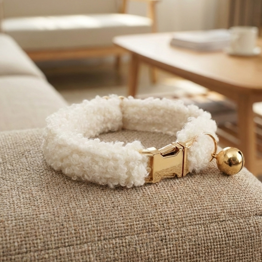 Collier pour Chat Teddy avec Clochette - Couleurs Vives